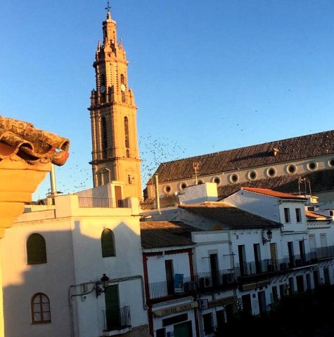 Torre y plaza mayor